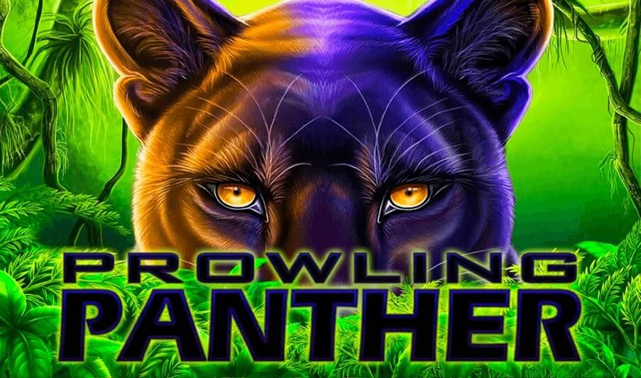 Prowling Panther